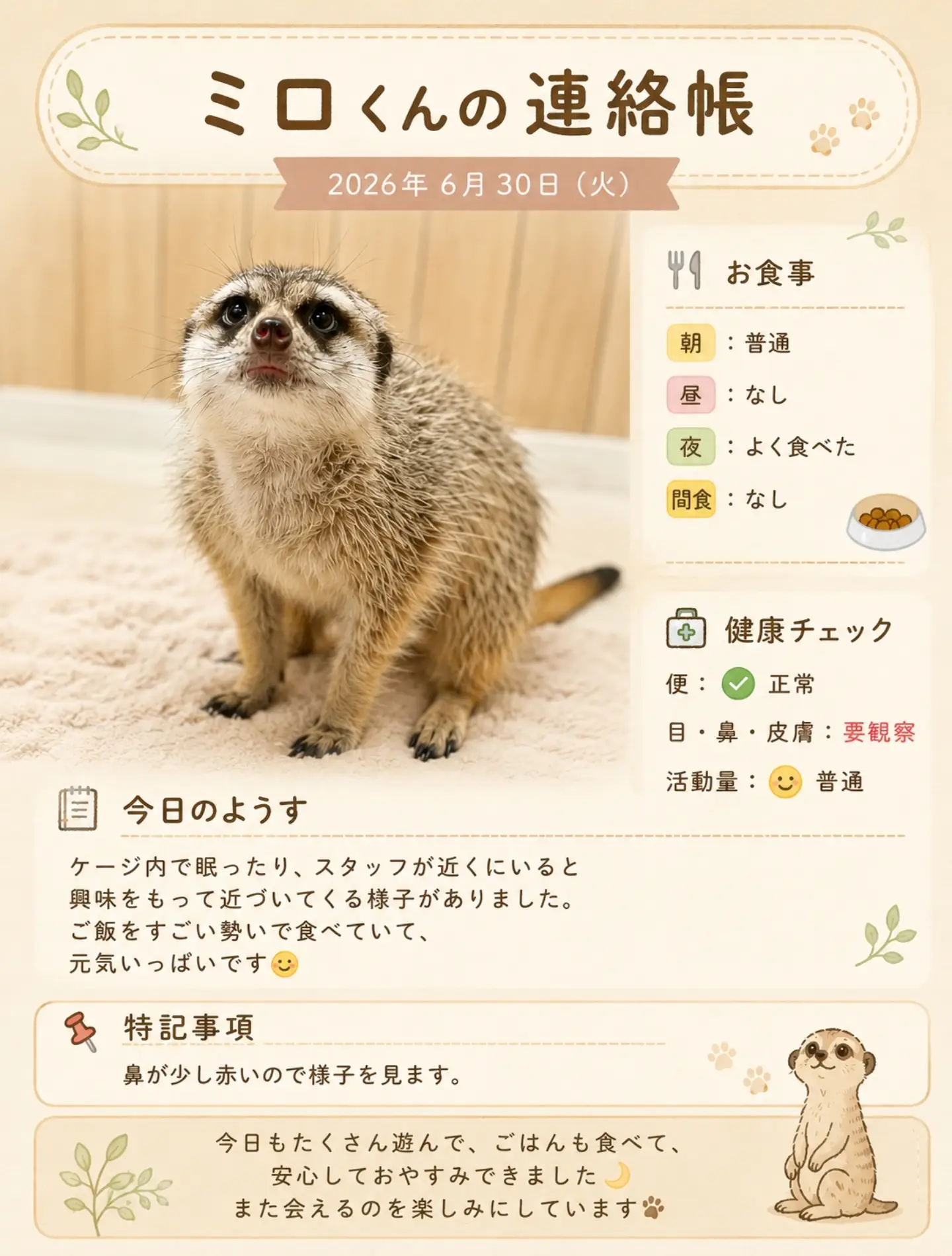 連絡帳の実物