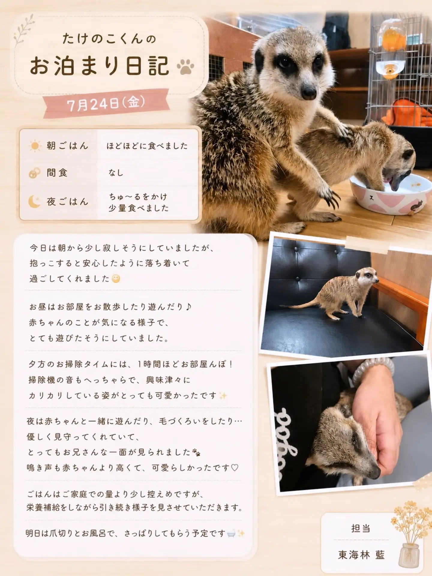 お泊まり日記の実物