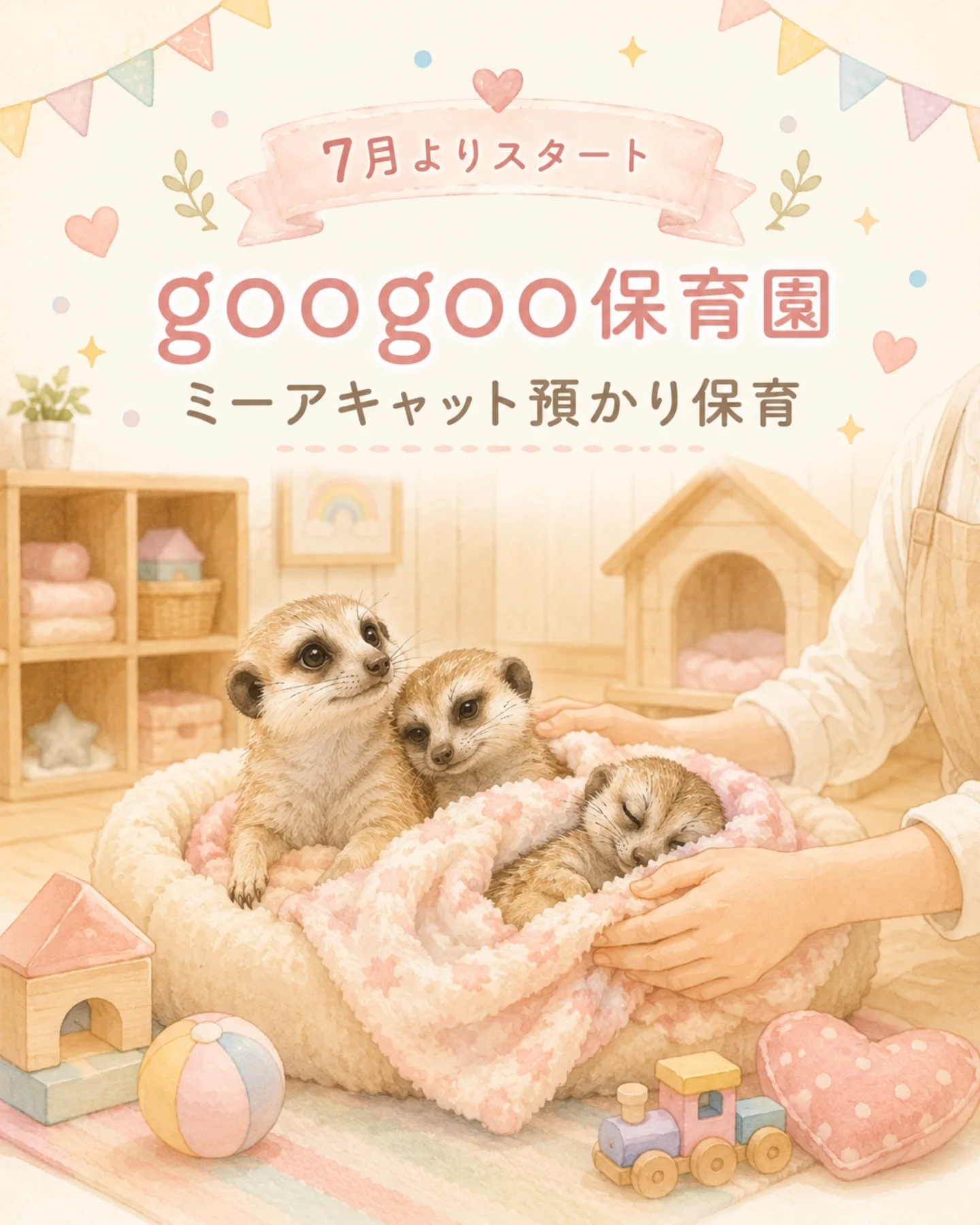 googoo保育園 ミーアキャット預かり保育