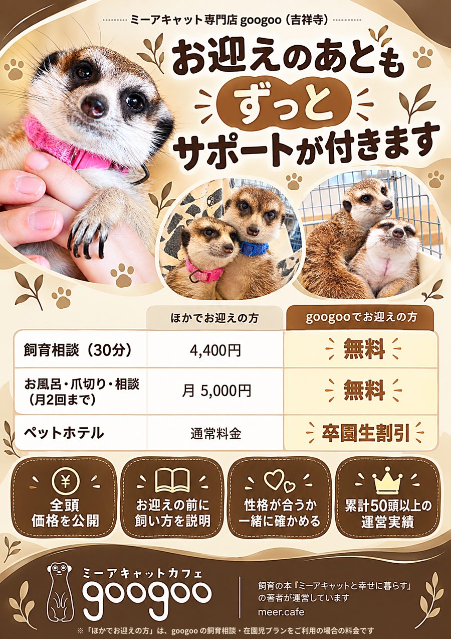 お迎えのあとも ずっと サポートが付きます ── googoo でお迎えの方は 飼育相談・お風呂と爪切りと相談 が無料、ペットホテルは卒園生割引