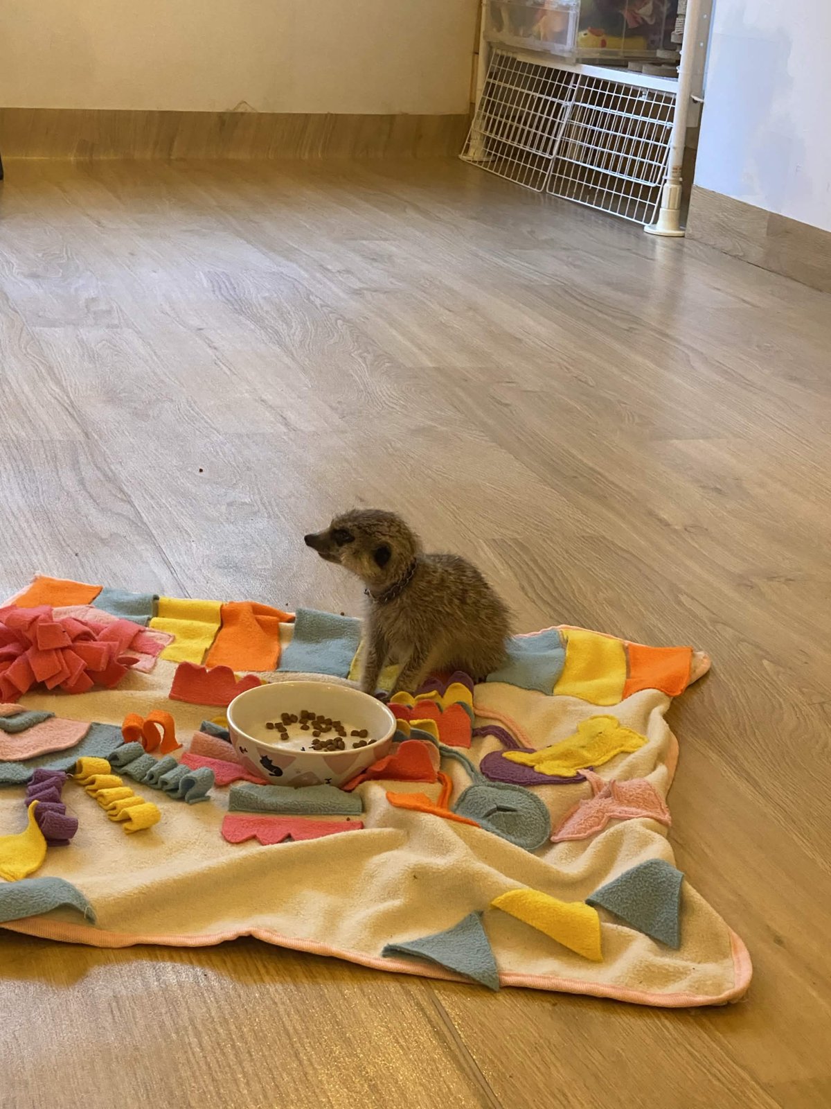 ラム